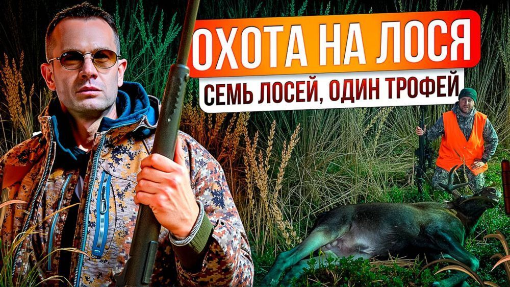 Охота на лося! Бык лег с первого выстрела! Как добыть лося на гону? Как манить лося?