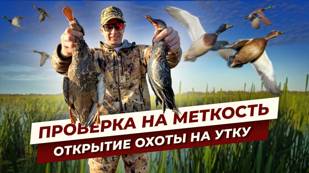 Душевная охота. Осеннее открытие по утке 2025. Утка стала умнее.