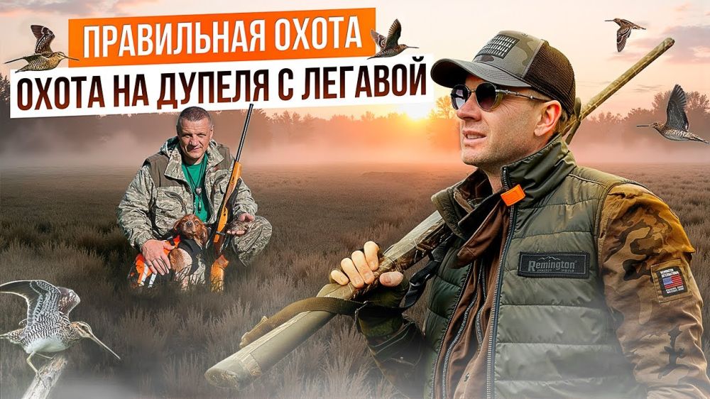 Один выстрел — одна птица: охота на дупеля с легавой. Секреты охоты на дупеля.