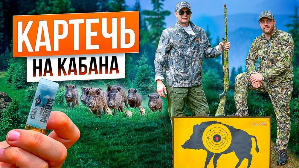 Картечь на охоте: осыпь, дистанция, пробитие. Картечь или пуля? Как использовать картечь на охоте?